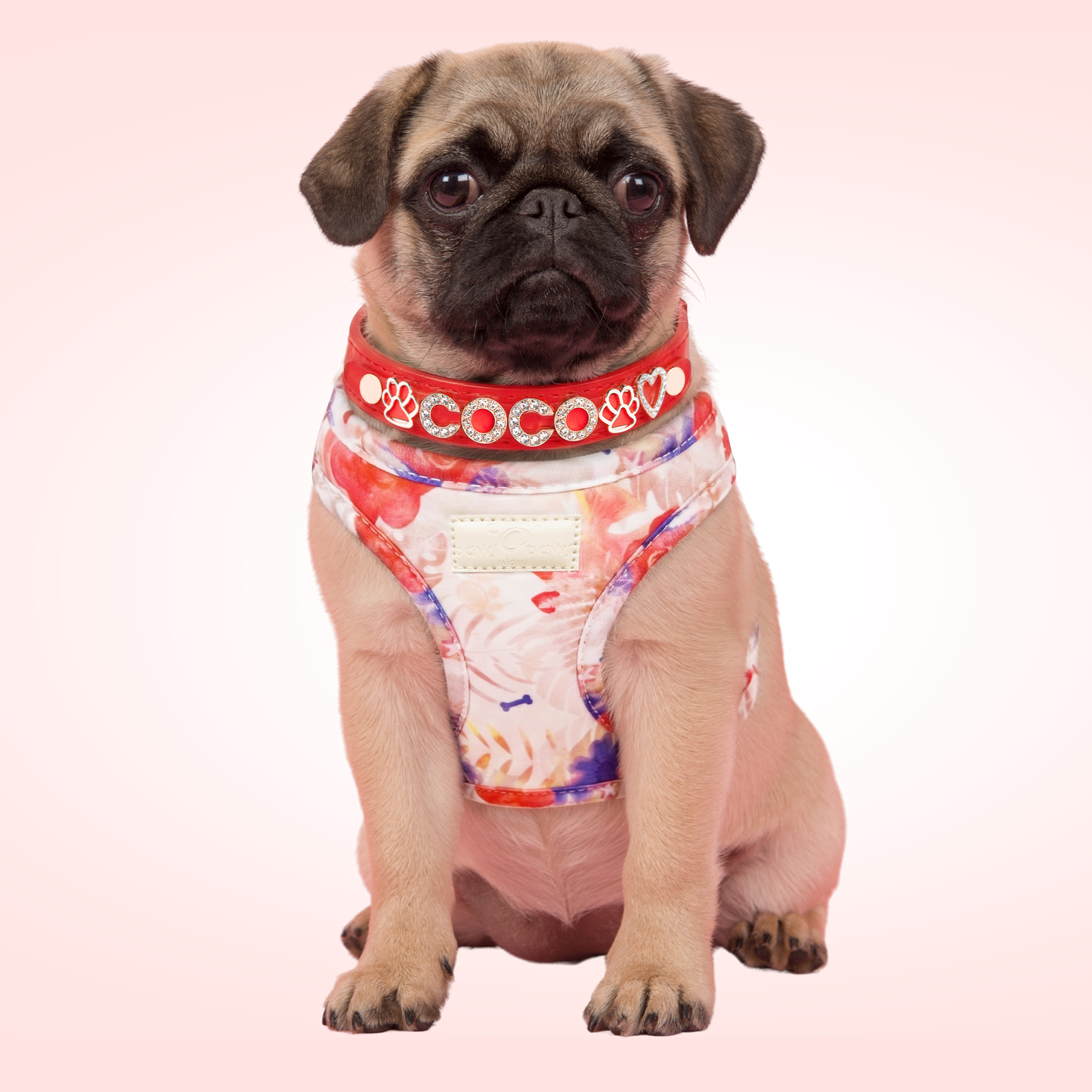 Step-In, No-Choke, Breathable Paws Paws Miami Floral Harness