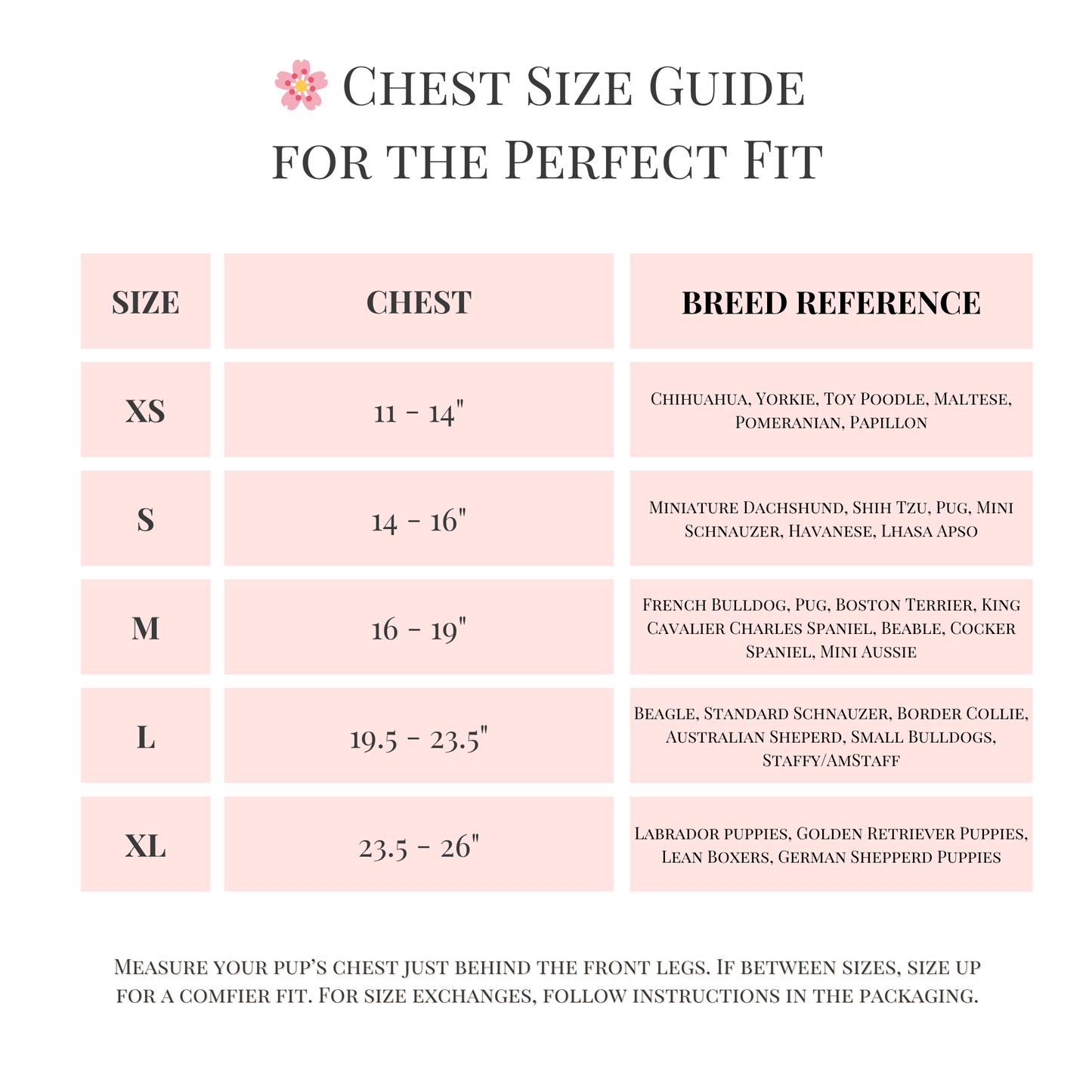 Step-In, No-Choke, Breathable Paws Paws Miami Floral Harness