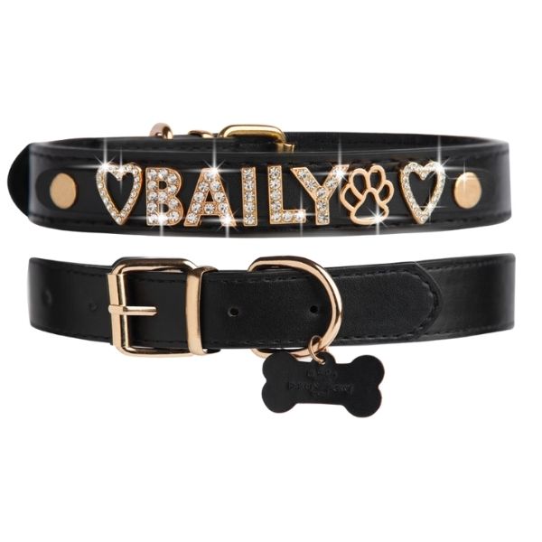 CUSTOM DOG COLLARS WITH STUDDED JEWELRY