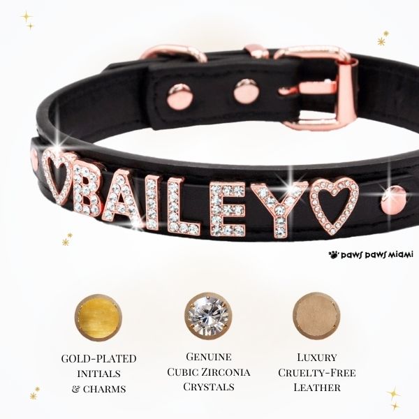 CUSTOM DOG COLLARS WITH STUDDED JEWELRY