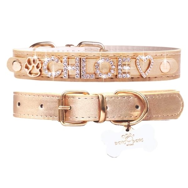 CUSTOM DOG COLLARS WITH STUDDED JEWELRY