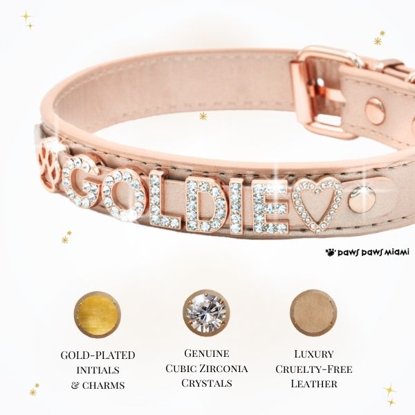 CUSTOM DOG COLLARS WITH STUDDED JEWELRY