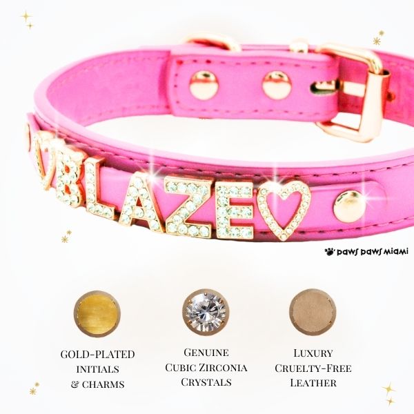 CUSTOM DOG COLLARS WITH STUDDED JEWELRY