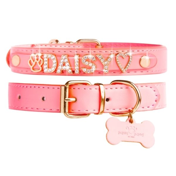 CUSTOM DOG COLLARS WITH STUDDED JEWELRY