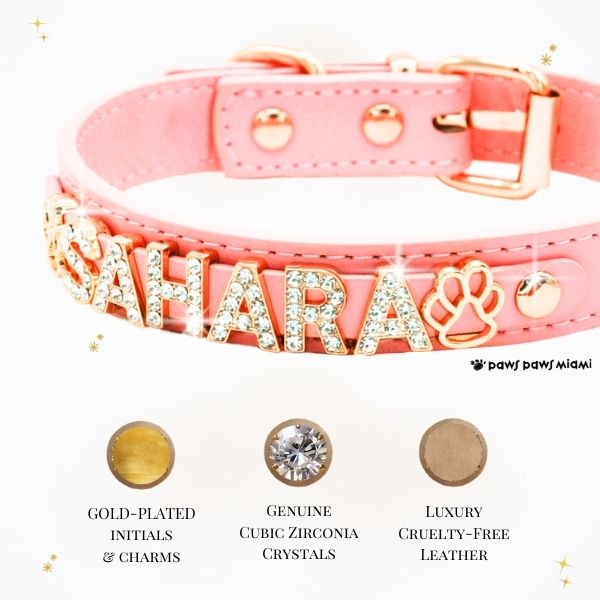 CUSTOM DOG COLLARS WITH STUDDED JEWELRY
