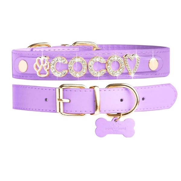 CUSTOM DOG COLLARS WITH STUDDED JEWELRY
