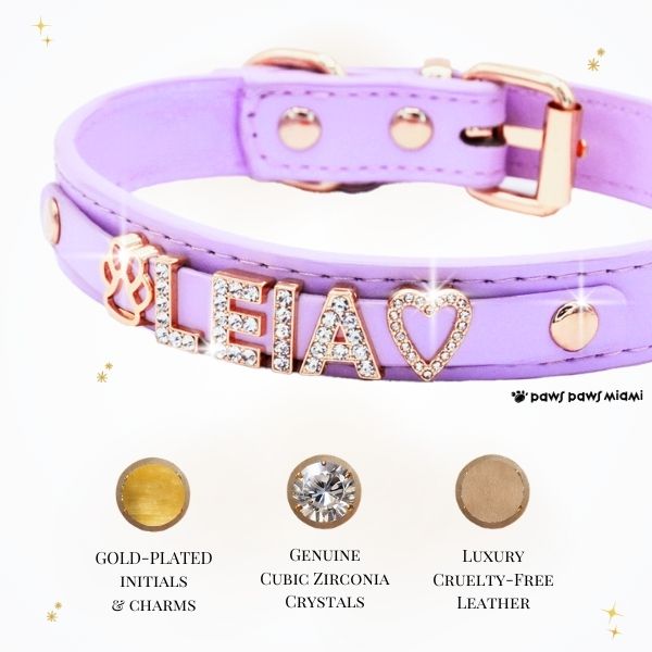 CUSTOM DOG COLLARS WITH STUDDED JEWELRY