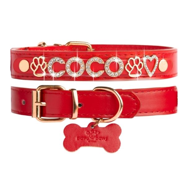 CUSTOM DOG COLLARS WITH STUDDED JEWELRY