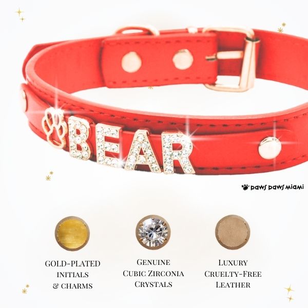CUSTOM DOG COLLARS WITH STUDDED JEWELRY