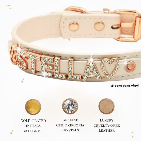 CUSTOM DOG COLLARS WITH STUDDED JEWELRY