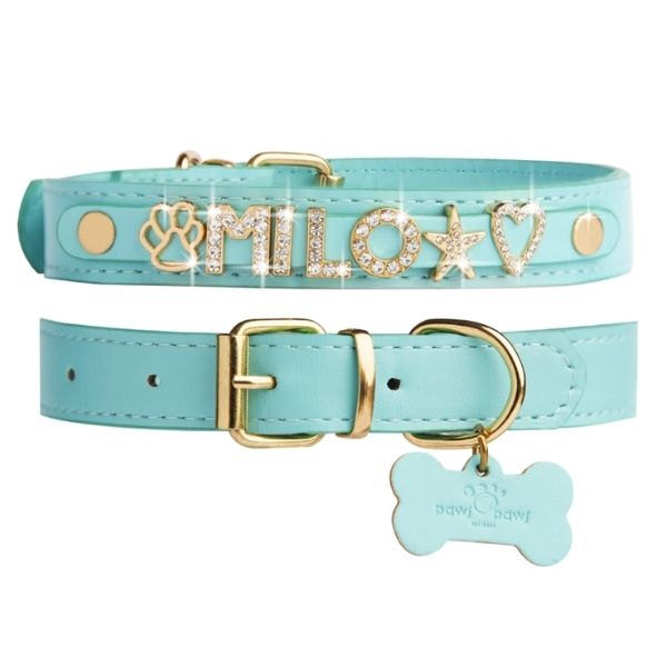 CUSTOM DOG COLLARS WITH STUDDED JEWELRY