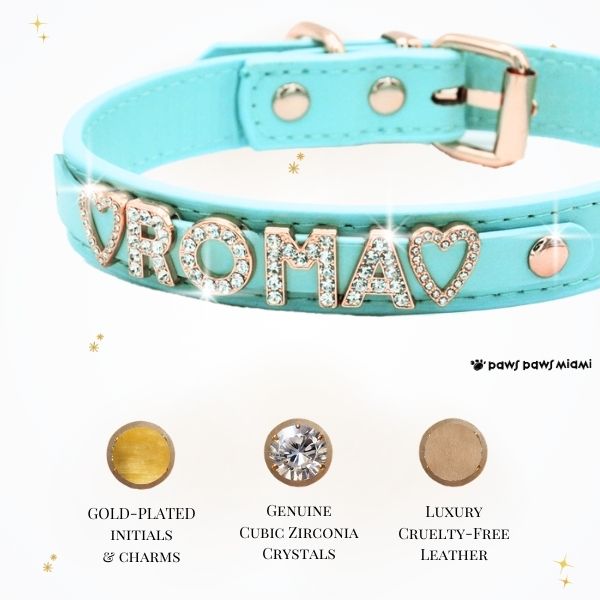 CUSTOM DOG COLLARS WITH STUDDED JEWELRY