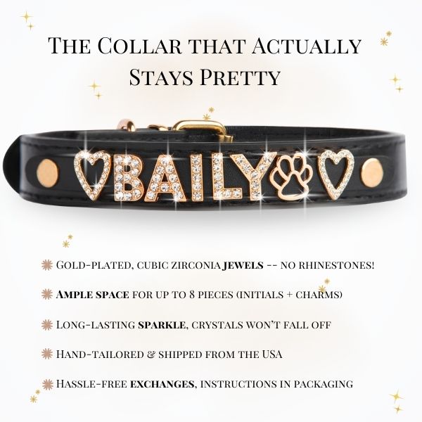 CUSTOM DOG COLLARS WITH STUDDED JEWELRY