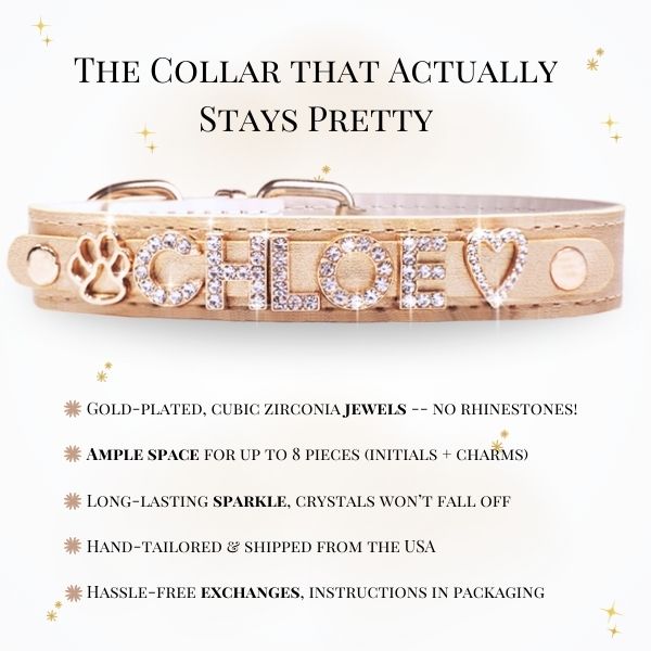 CUSTOM DOG COLLARS WITH STUDDED JEWELRY