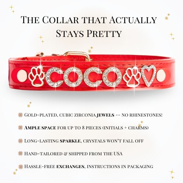 CUSTOM DOG COLLARS WITH STUDDED JEWELRY