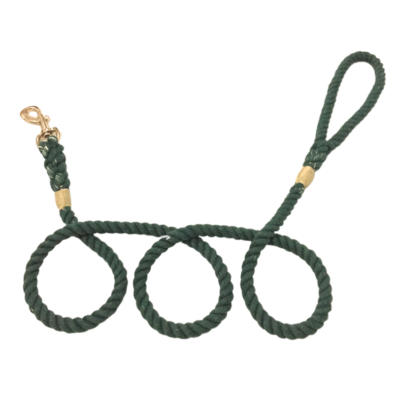 paws paws miami matching leash for custom dog collar green