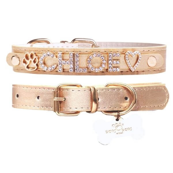 The Personalized Sparkle Collar