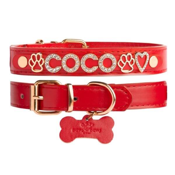 The Personalized Sparkle Collar