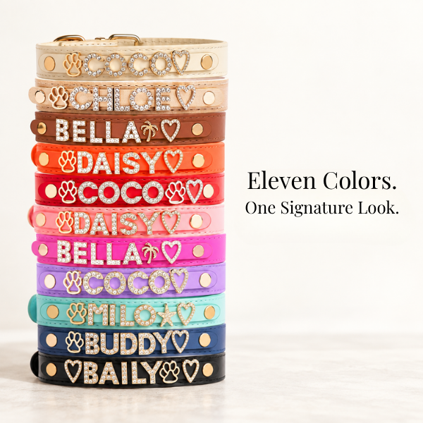 The Personalized Sparkle Collar