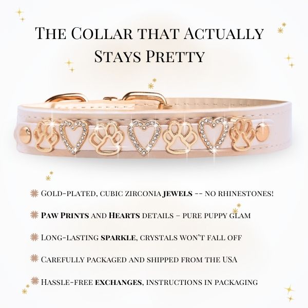 The Sparkle Collar - Sand