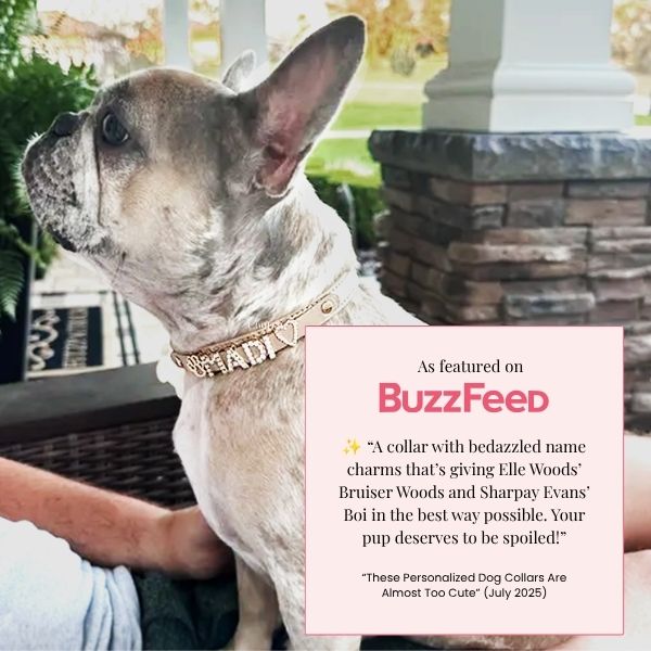 The Personalized Sparkle Collar