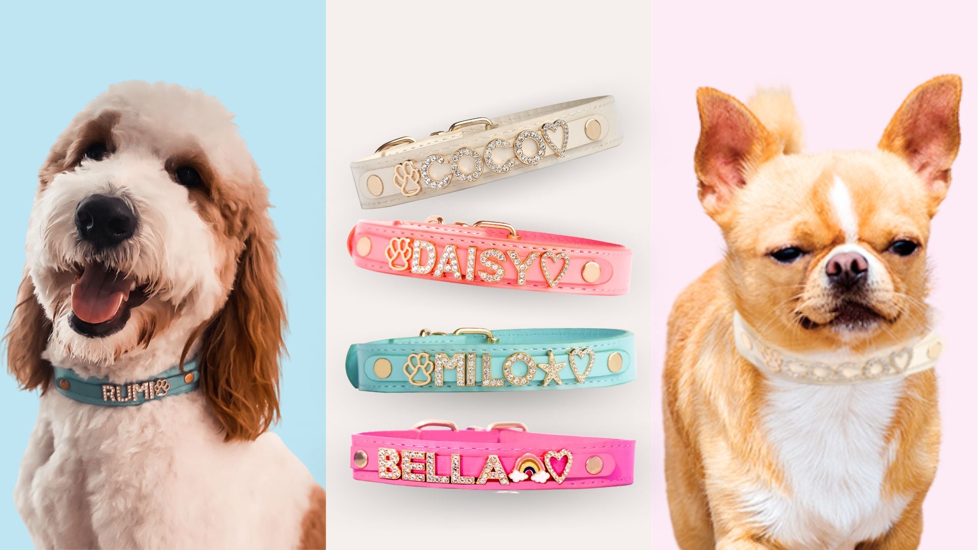 Bestselling Dog Collars with Studded Jewelry