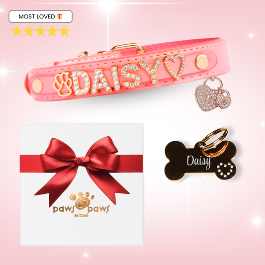 Collar Gift Set: Collar, ID Tag, Pendant Charm & Gift Box