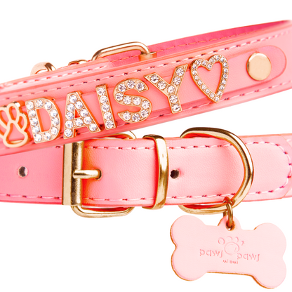 CUSTOM DOG COLLARS WITH STUDDED JEWELRY