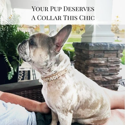 CUSTOM DOG COLLARS WITH STUDDED JEWELRY