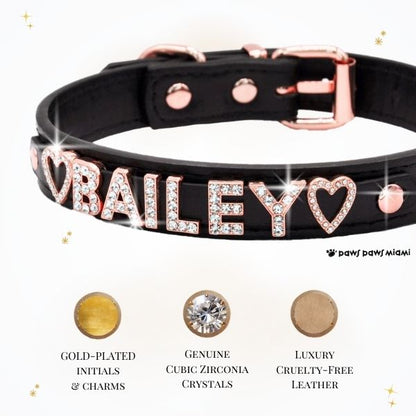 CUSTOM DOG COLLARS WITH STUDDED JEWELRY