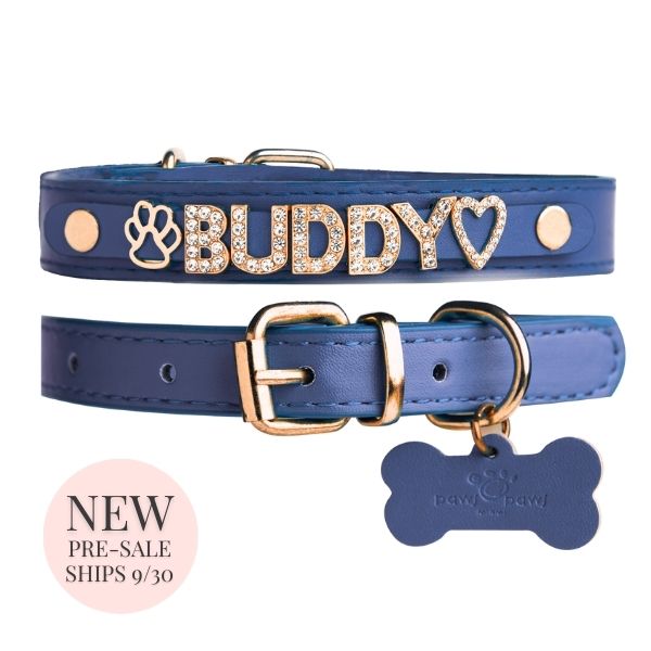 The Personalized Sparkle Collar