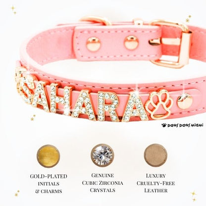 CUSTOM DOG COLLARS WITH STUDDED JEWELRY
