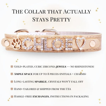 CUSTOM DOG COLLARS WITH STUDDED JEWELRY