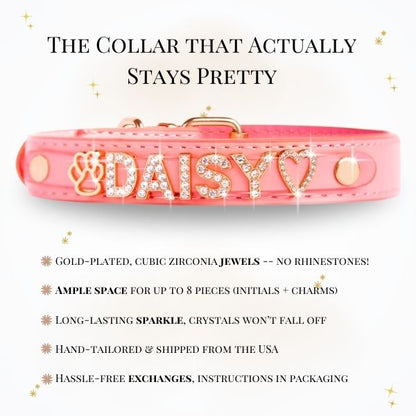 CUSTOM DOG COLLARS WITH STUDDED JEWELRY