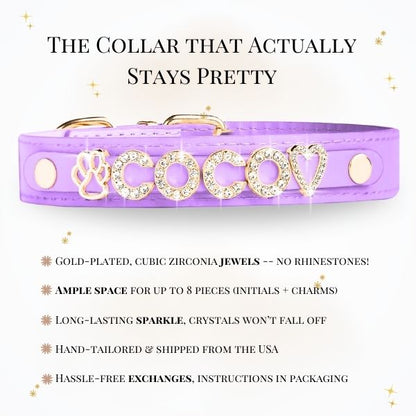 CUSTOM DOG COLLARS WITH STUDDED JEWELRY