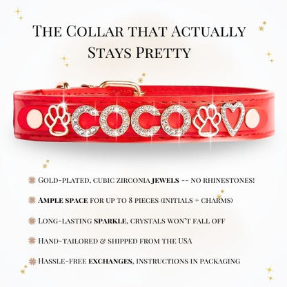 CUSTOM DOG COLLARS WITH STUDDED JEWELRY