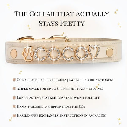 CUSTOM DOG COLLARS WITH STUDDED JEWELRY