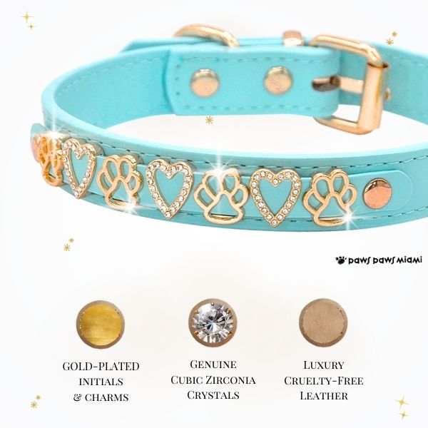 The Sparkle Collar - Turquoise