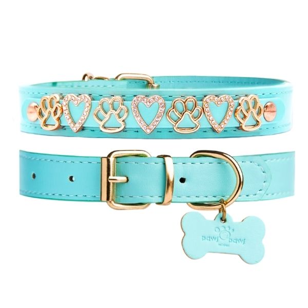 The Sparkle Collar - Turquoise