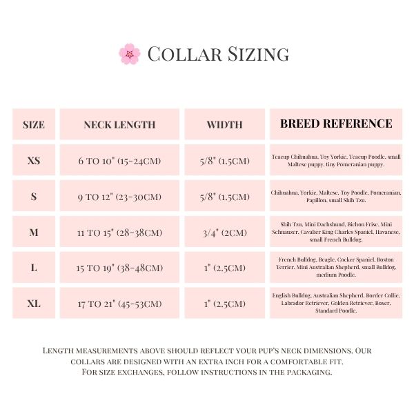 The Hot Pink Walk Set