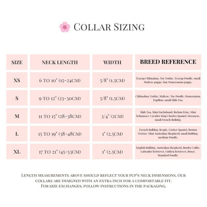 The Hot Pink Walk Set