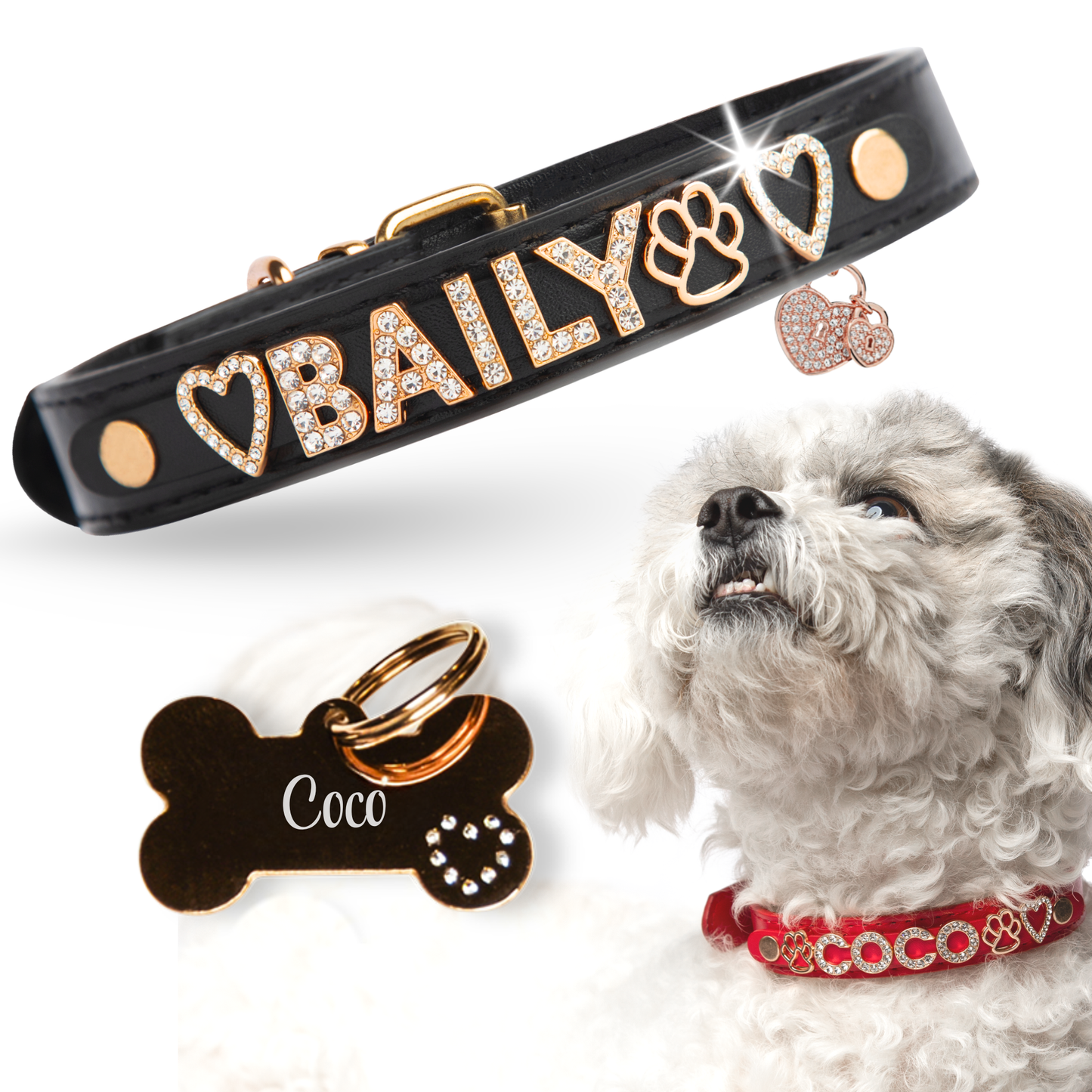 The Personalized Sparkle Collar