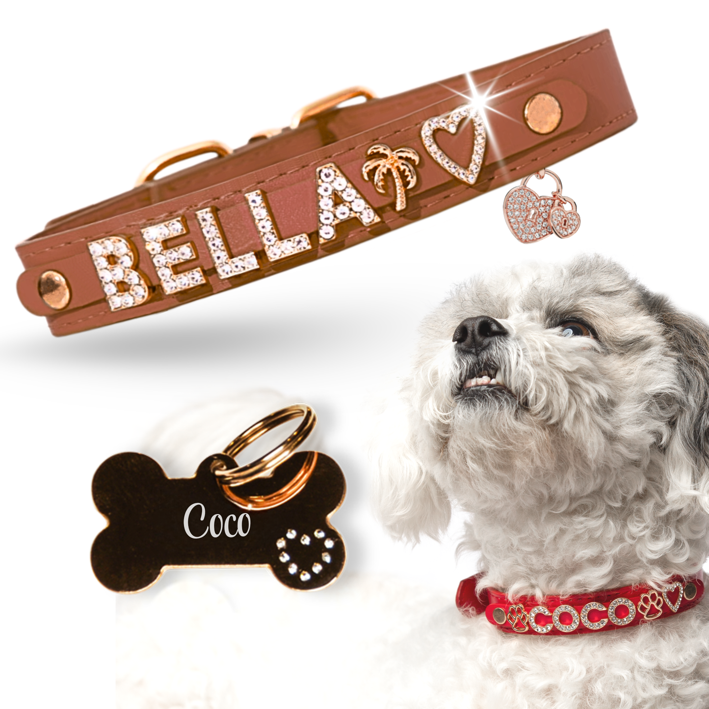 The Personalized Sparkle Collar