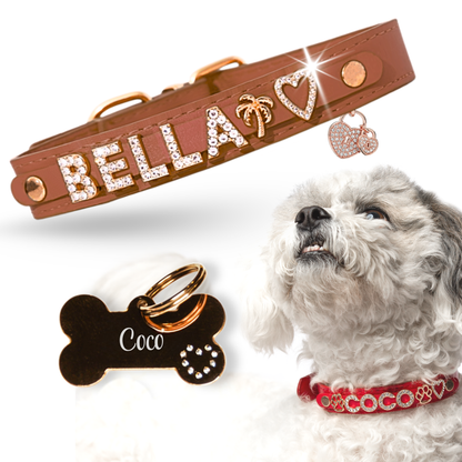 The Personalized Sparkle Collar