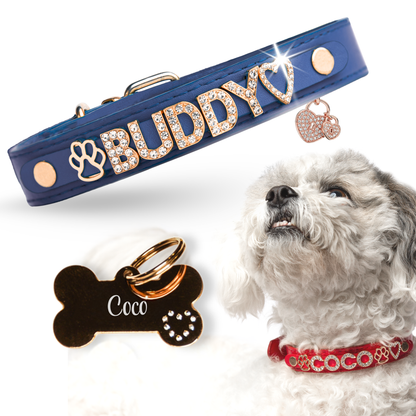 The Personalized Sparkle Collar