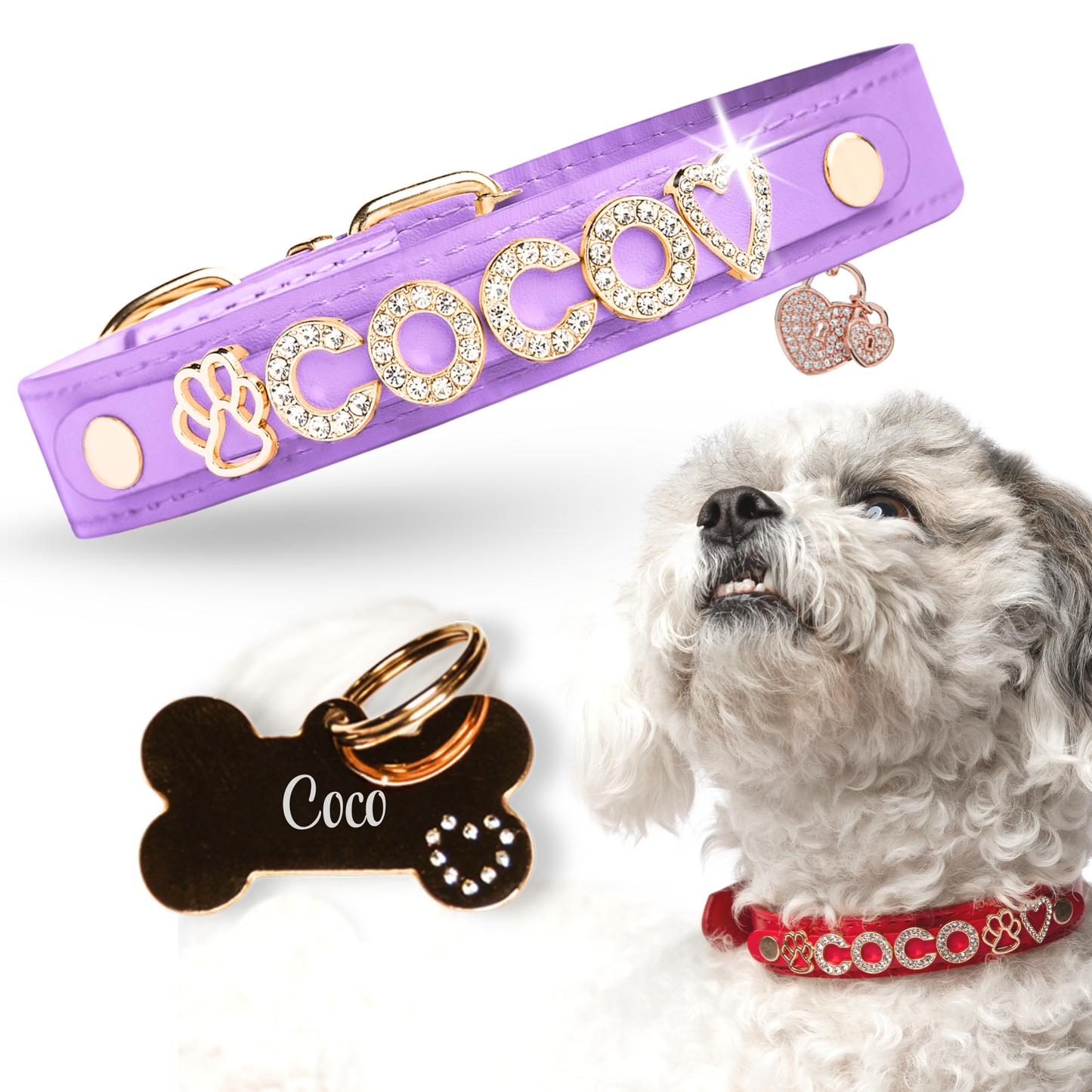 The Personalized Sparkle Collar