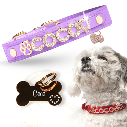 The Personalized Sparkle Collar