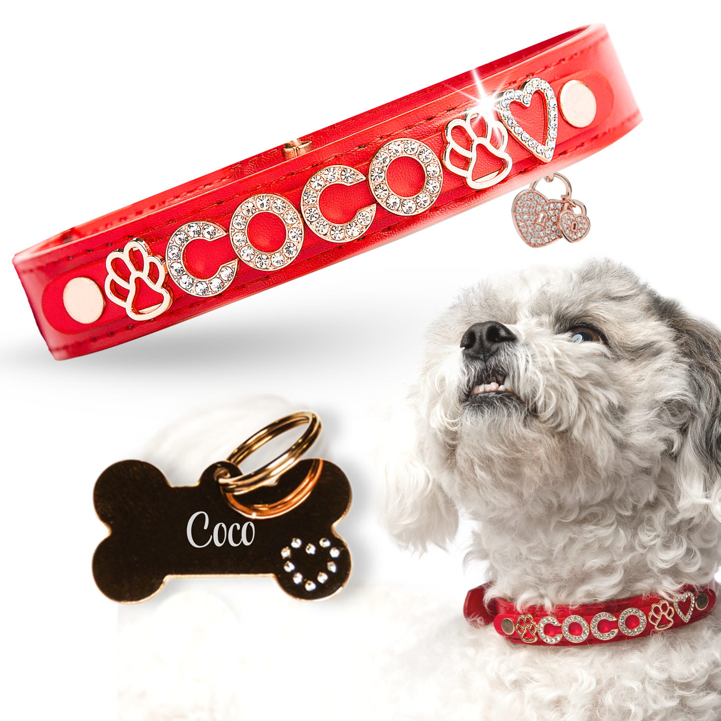 The Personalized Sparkle Collar