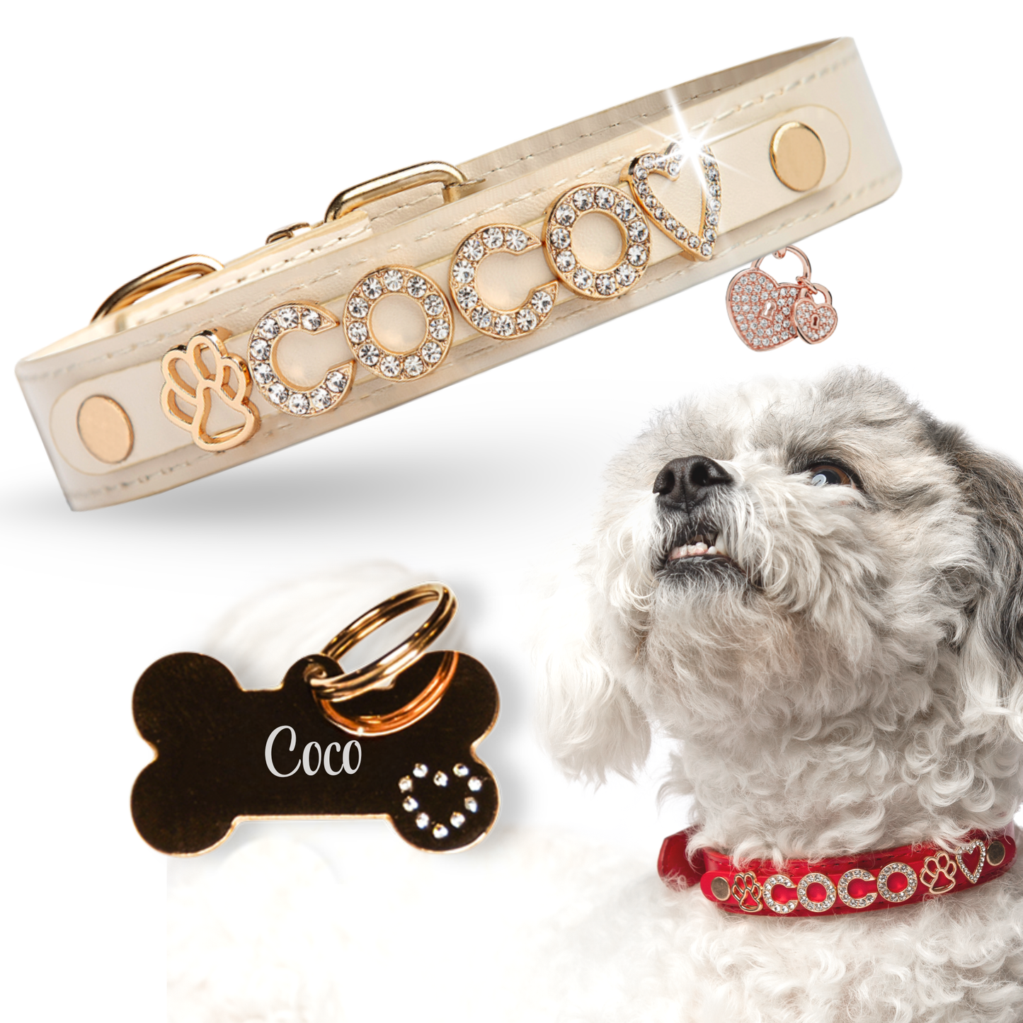 The Personalized Sparkle Collar
