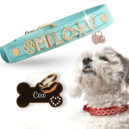 The Personalized Sparkle Collar